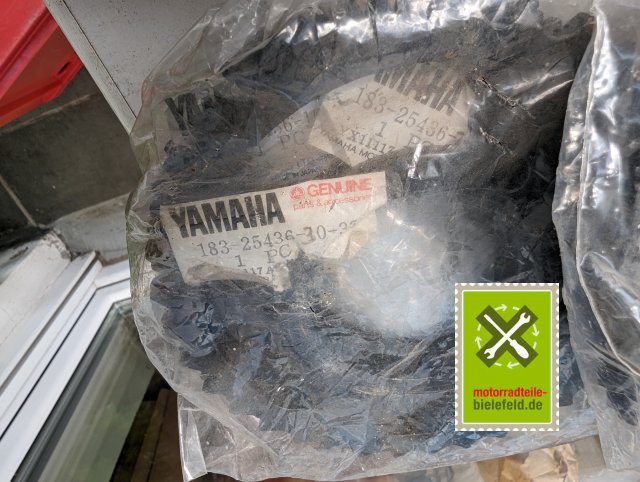 PXL_20240523_133538861